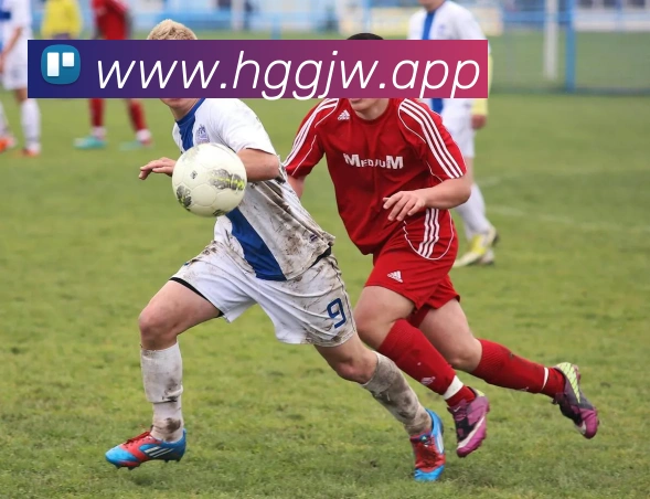 皇冠国际hg品牌故事