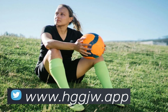 皇冠国际hg服务体系